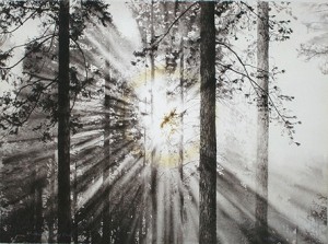 "Nimbus," lithograph by L. Wallin, will be available as one of The Drawing Studio's Gala Silent Auction offerings.