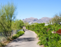 Shaded paths offer green respite and gateways to adjoining neighborhoods. photo: Leigh Spigelman