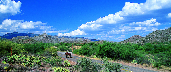 Colossal Cave Mountain Park incorporates more than just a cave, including trail rides and much more. Photo courtesy Colossal Cave Mountain Park